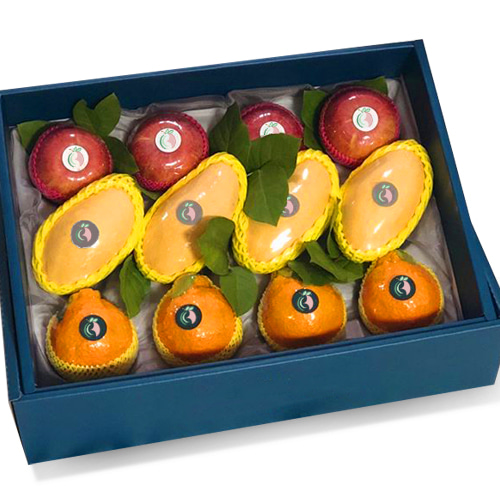 과일 종이 박스 (대)